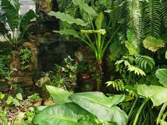 -国家植物园南园