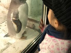 -大连圣亚海洋世界