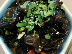 木耳-诗爷牛尾汤(大坪英利店)