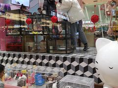 -兰岛广场(白沙路店)