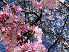 -桑吉林新派藏餐·汤锅·川菜