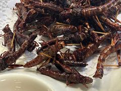 -鑫正兴东北烧烤(滨湖店)