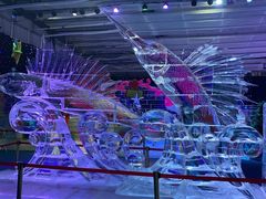 -宁波冰雪大世界(北仑区)