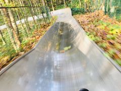 -窦圌山风景区