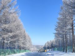 -塞罕坝国家级自然保护区