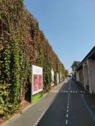 -爱儿美儿童摄影(五路居花园别墅店)