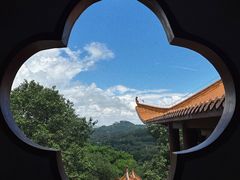 -深圳仙湖植物园