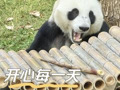 -石家庄市动物园