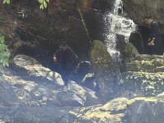 -藏龙百瀑风景区