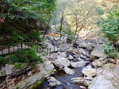 景点-少华山国家森林公园