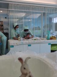 -华美国际月子会所(合生店)