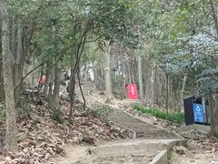 -上海佘山国家森林公园天马山园