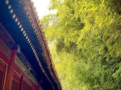 -潭柘寺景区