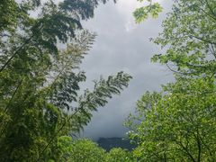 -明月山风景名胜区