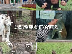 -秦皇岛野生动物园