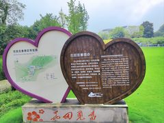 -铁山坪森林公园