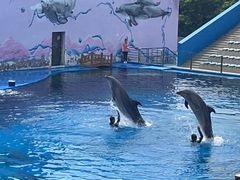 -北戴河圣蓝海洋公园