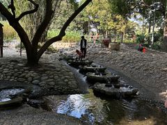 -成都市活水公园