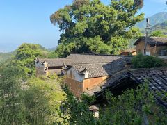 -杨家堂村