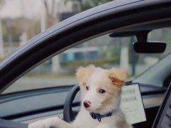 -TESLA 特斯拉(上海太古汇体验店)