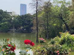 -人民公园(罗湖区)