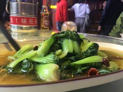-新概念来凤鱼(璧山店)