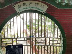 -广东惠东海龟国家级自然保护区
