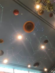 -卡通尼·Safari非洲探索乐园·生日会(金桥国际商业广场店)