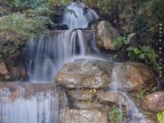 -广州市帽峰山景区
