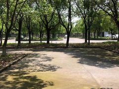 -安飞驰驾校·学车连锁(金高店)