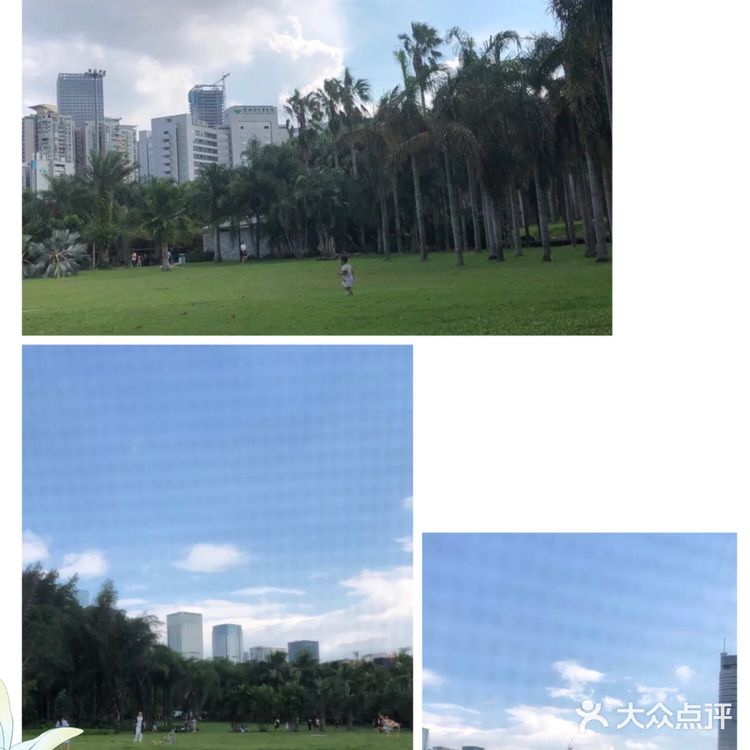 攻略丨打卡深圳的另外一个地标莲花山公园
