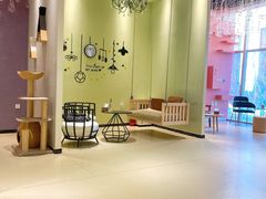 -藏猫猫咖啡主题馆(中央大道店)