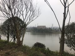 -枫香湖儿童公园