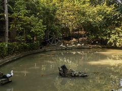 -晓雯人家