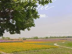 -江苏三台山国家森林公园