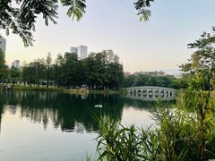 -四海公园(南山区)
