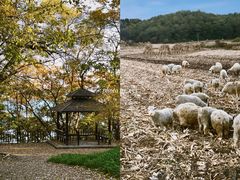 -萨尔浒风景区