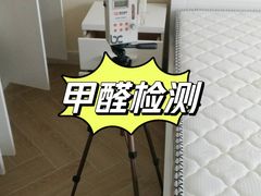 -浙大冰虫甲醛检测治理(闵行店)