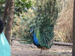 -重庆动物园·东二门售票处