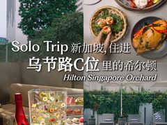 -新加坡乌节希尔顿酒店