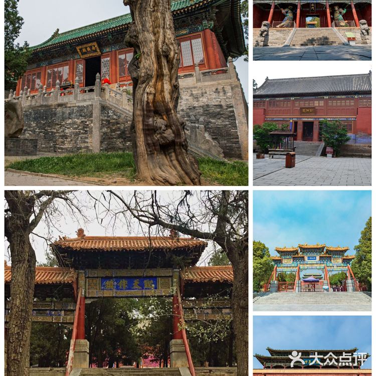 郑州旅行必备游玩攻略推荐[糖果]行李寄存服务