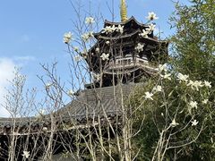 -洋湖国家湿地公园