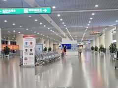 -龙阳路磁悬浮列车总站-停车场