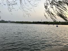 -长春市南湖公园