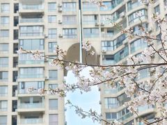 -西北湖绿化广场