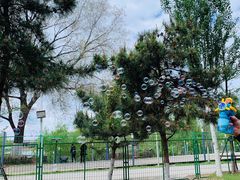 -长白岛森林公园