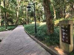 -九曜山
