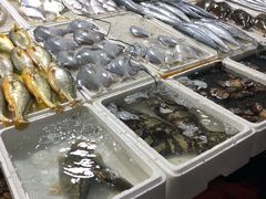 -济南海鲜大市场