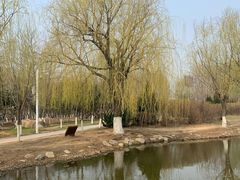 -前关湿地公园