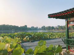 -后海公园